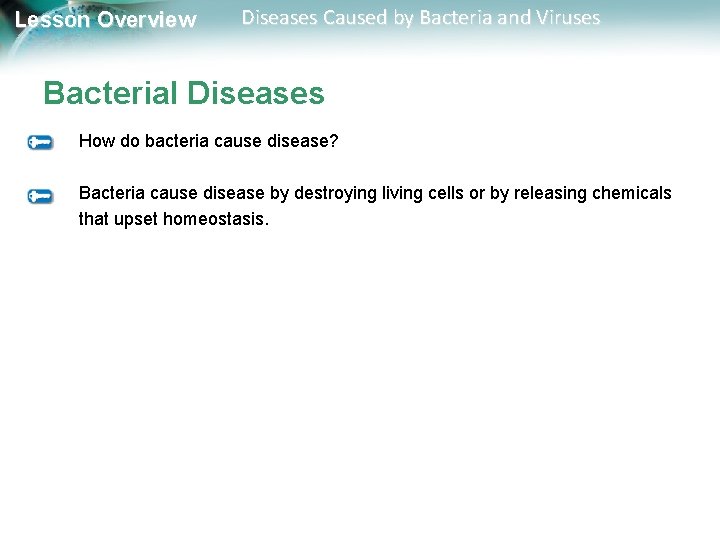 Lesson Overview Diseases Caused by Bacteria and Viruses