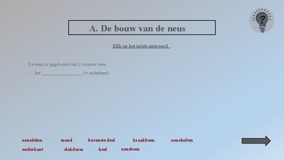 A. De bouw van de neus Klik op het juiste antwoord. De neus is