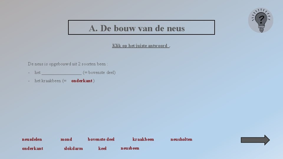 A. De bouw van de neus Klik op het juiste antwoord. De neus is