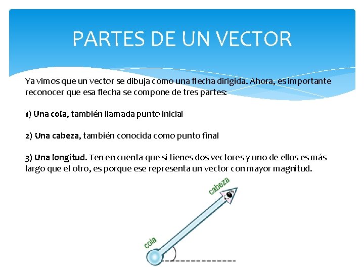 PARTES DE UN VECTOR Ya vimos que un vector se dibuja como una flecha