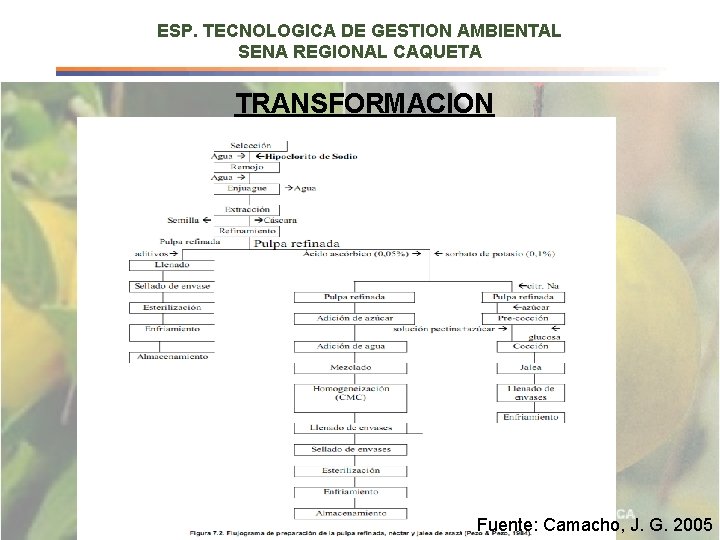 ESP. TECNOLOGICA DE GESTION AMBIENTAL SENA REGIONAL CAQUETA TRANSFORMACION Fuente: Camacho, J. G. 2005