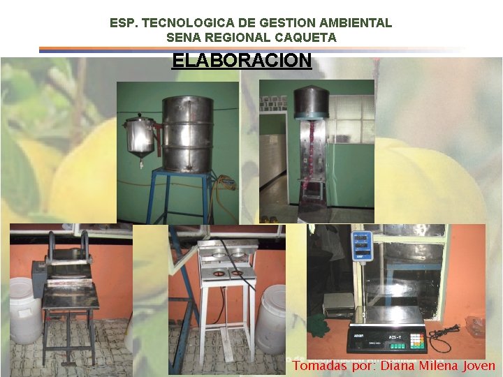 ESP. TECNOLOGICA DE GESTION AMBIENTAL SENA REGIONAL CAQUETA ELABORACION Tomadas por: Diana Milena Joven