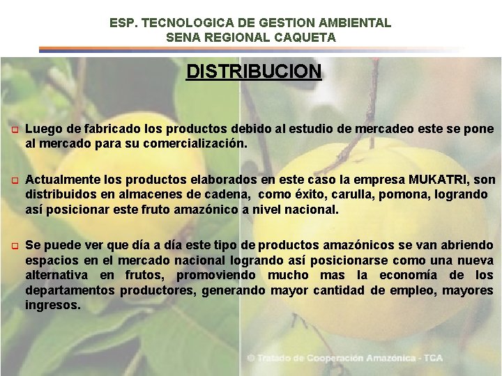 ESP. TECNOLOGICA DE GESTION AMBIENTAL SENA REGIONAL CAQUETA DISTRIBUCION q Luego de fabricado los
