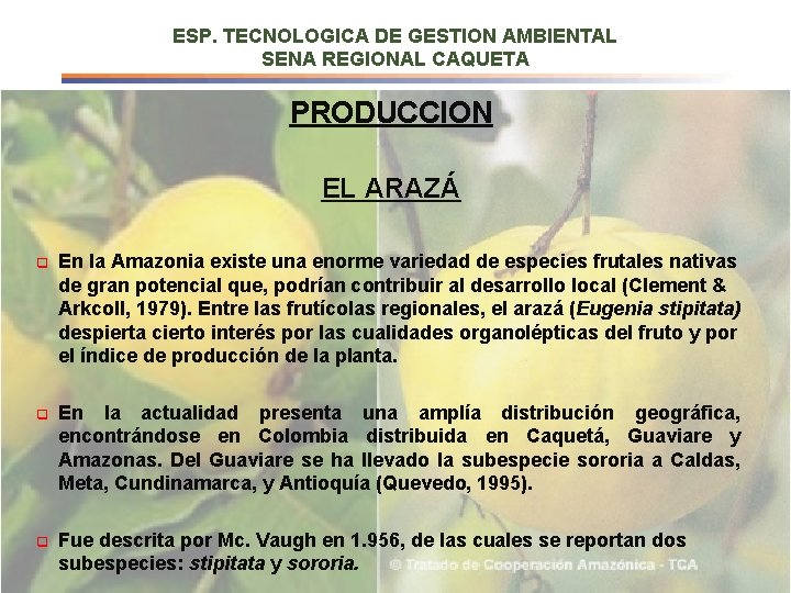 ESP. TECNOLOGICA DE GESTION AMBIENTAL SENA REGIONAL CAQUETA PRODUCCION EL ARAZÁ q En la