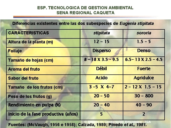 ESP. TECNOLOGICA DE GESTION AMBIENTAL SENA REGIONAL CAQUETA Diferencias existentes entre las dos subespecies