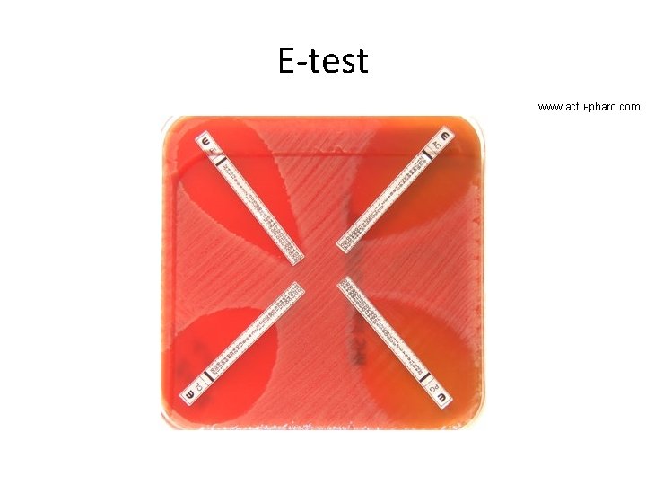 E-test www. actu-pharo. com 