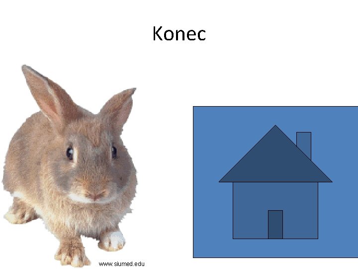 Konec www. siumed. edu 