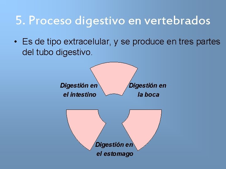 5. Proceso digestivo en vertebrados • Es de tipo extracelular, y se produce en