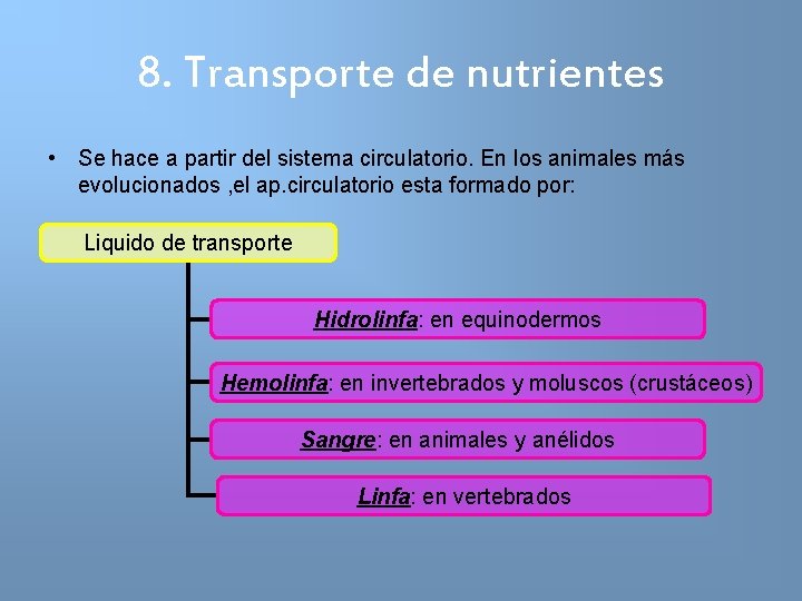 8. Transporte de nutrientes • Se hace a partir del sistema circulatorio. En los