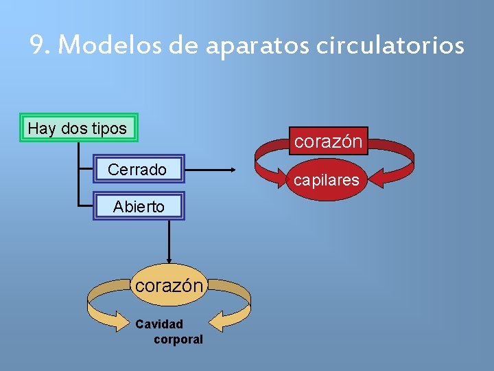 9. Modelos de aparatos circulatorios Hay dos tipos corazón Cerrado Abierto corazón Cavidad corporal