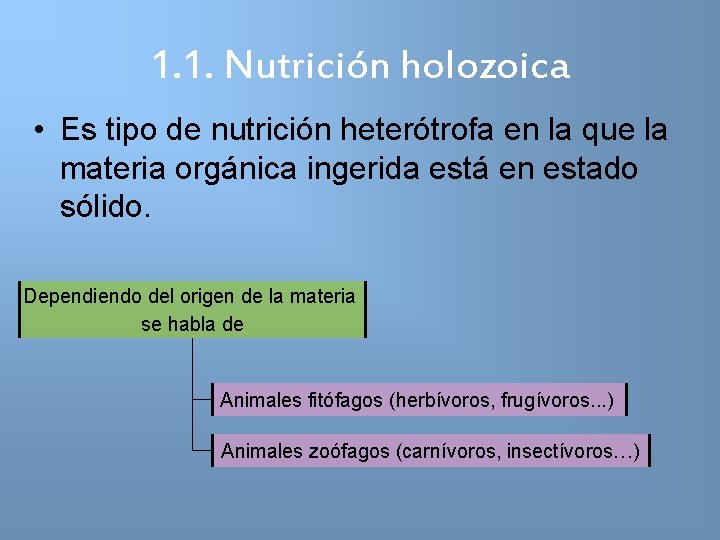 1. 1. Nutrición holozoica • Es tipo de nutrición heterótrofa en la que la