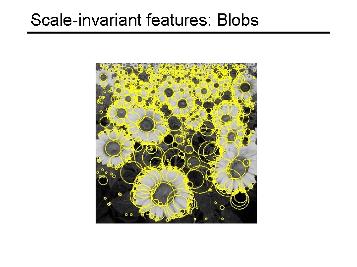 Scale-invariant features: Blobs 