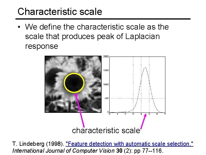 Characteristic scale • We define the characteristic scale as the scale that produces peak