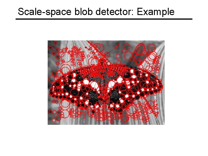 Scale-space blob detector: Example 