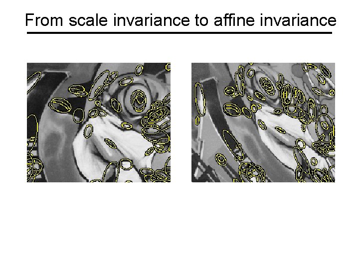 From scale invariance to affine invariance 