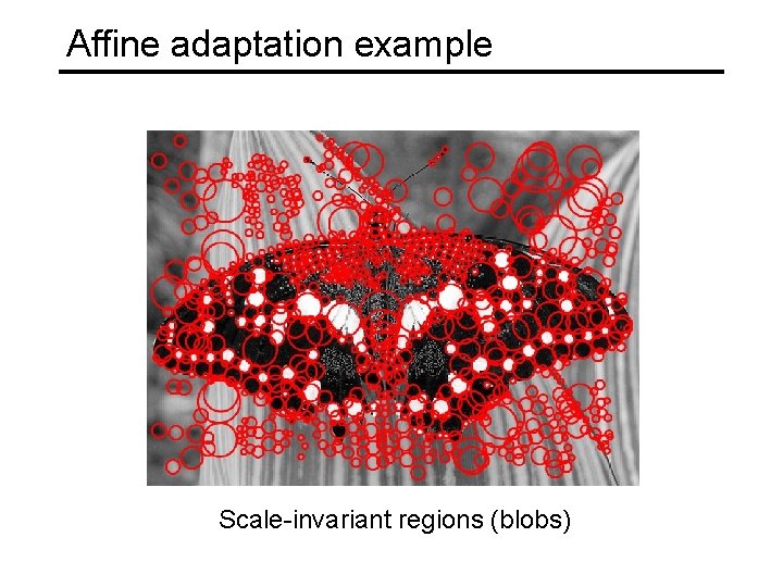Affine adaptation example Scale-invariant regions (blobs) 