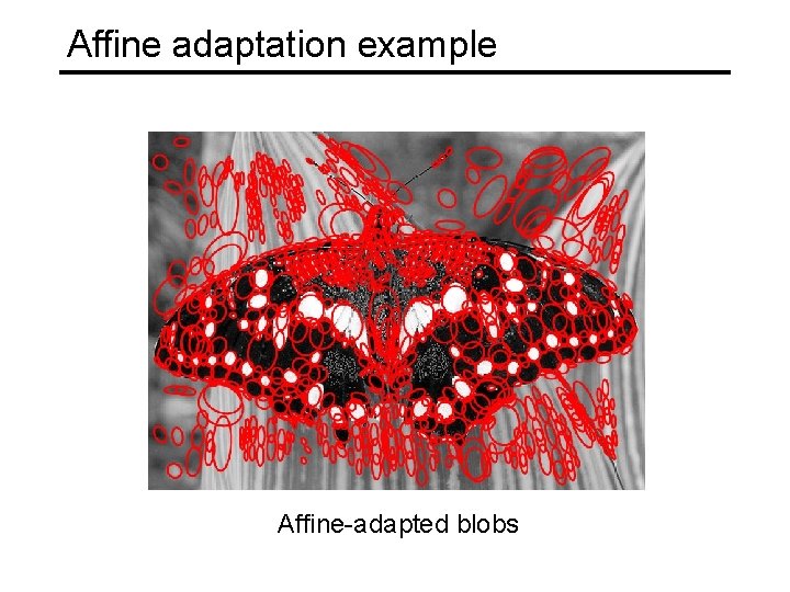 Affine adaptation example Affine-adapted blobs 