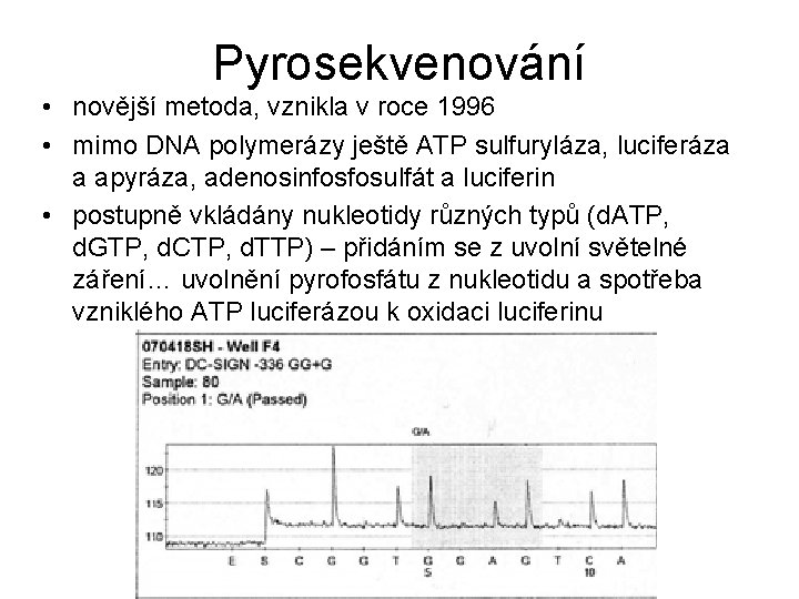 Pyrosekvenování • novější metoda, vznikla v roce 1996 • mimo DNA polymerázy ještě ATP