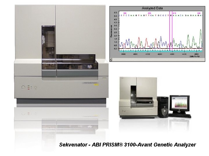Sekvenator - ABI PRISM® 3100 -Avant Genetic Analyzer 