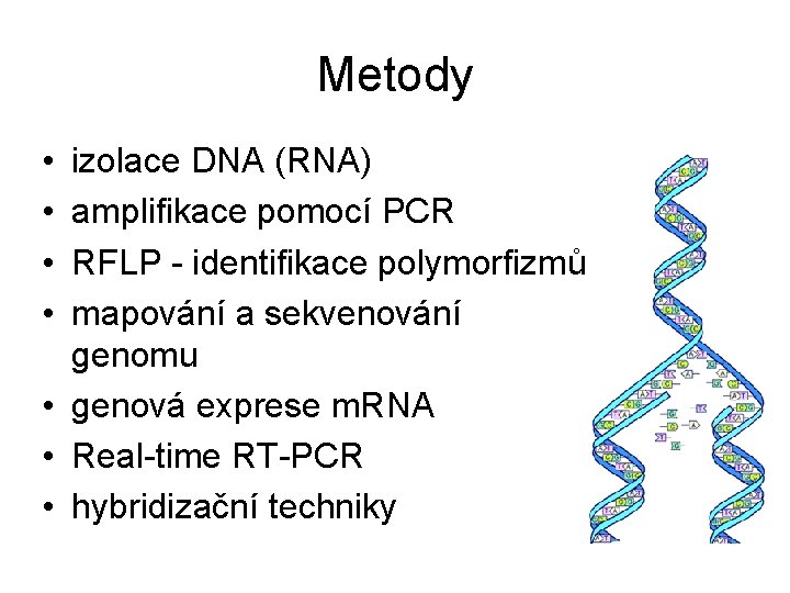Metody • • izolace DNA (RNA) amplifikace pomocí PCR RFLP - identifikace polymorfizmů mapování