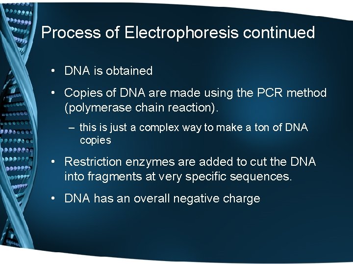 Process of Electrophoresis continued • DNA is obtained • Copies of DNA are made