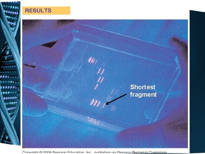 Shortest fragment 