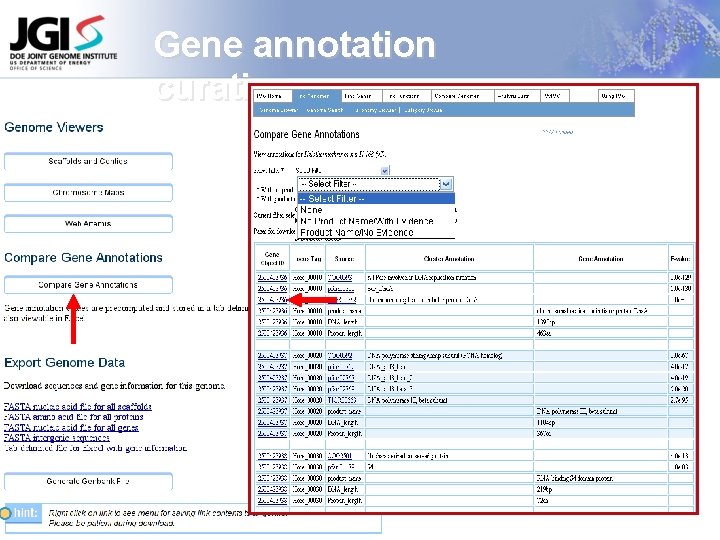 Gene annotation curation 