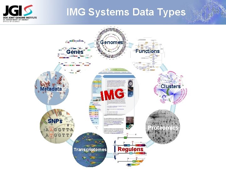 IMG Systems Data Types Genomes Functions Genes Metadata IMG Clusters SNPs Proteomics Transcriptomes Regulons