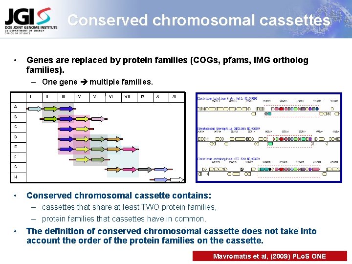 Conserved chromosomal cassettes • Genes are replaced by protein families (COGs, pfams, IMG ortholog