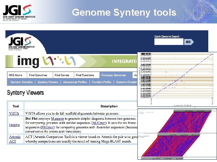 Genome Synteny tools 