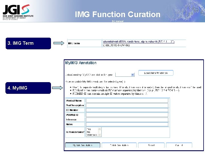 IMG Function Curation (b) manual 3. IMG Term 4. My. IMG 