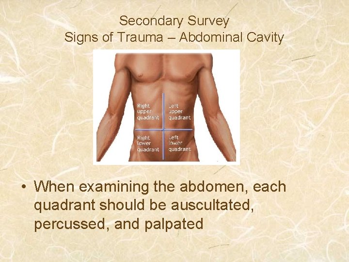 Secondary Survey Signs of Trauma – Abdominal Cavity • When examining the abdomen, each