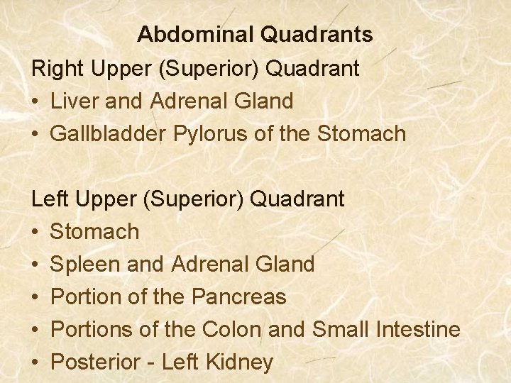 Abdominal Quadrants Right Upper (Superior) Quadrant • Liver and Adrenal Gland • Gallbladder Pylorus