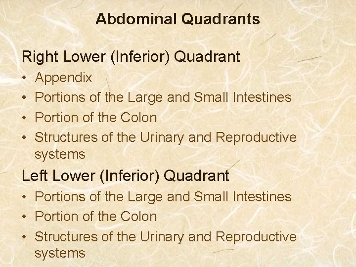 Abdominal Quadrants Right Lower (Inferior) Quadrant • • Appendix Portions of the Large and