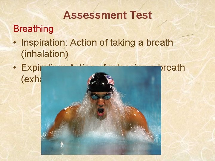 Assessment Test Breathing • Inspiration: Action of taking a breath (inhalation) • Expiration: Action