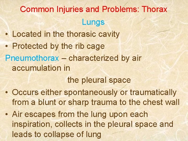 Common Injuries and Problems: Thorax Lungs • Located in the thorasic cavity • Protected