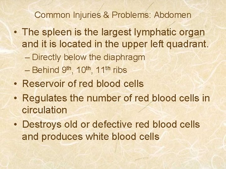 Common Injuries & Problems: Abdomen • The spleen is the largest lymphatic organ and