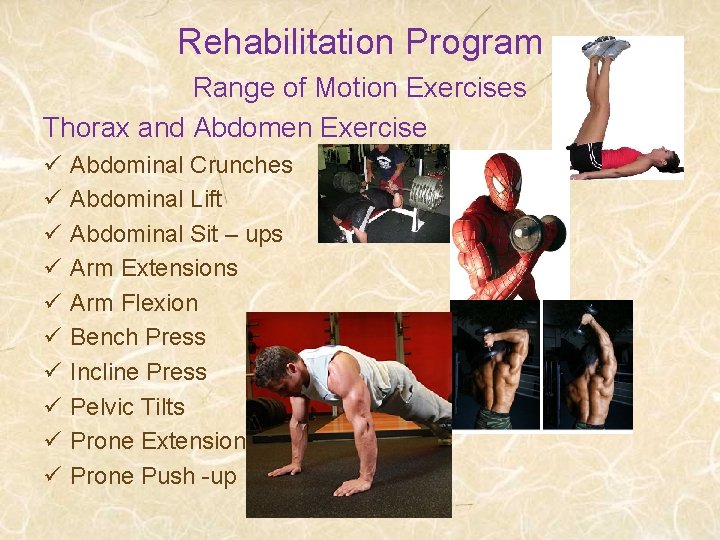 Rehabilitation Program Range of Motion Exercises Thorax and Abdomen Exercise ü ü ü ü