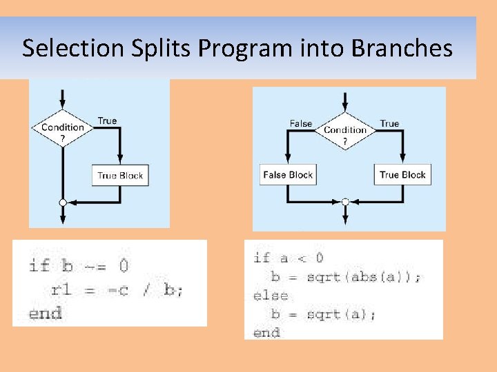 Selection Splits Program into Branches Selection Splits Program into Branches