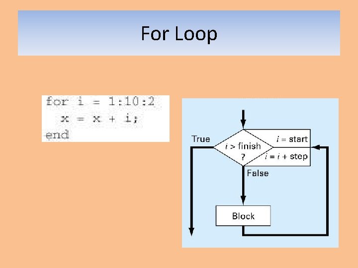 For Loop 