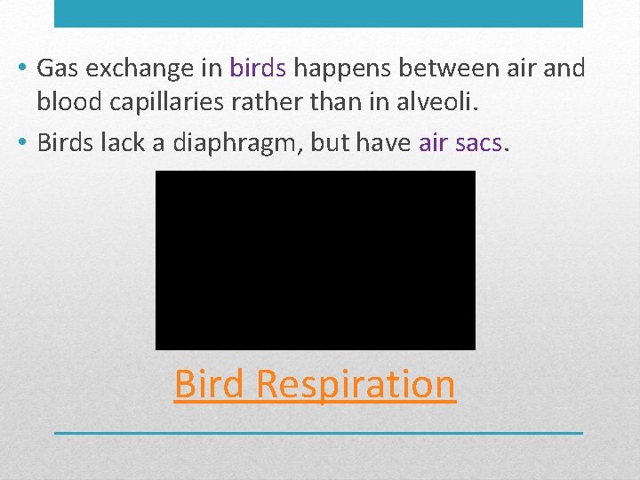  • Gas exchange in birds happens between air and blood capillaries rather than