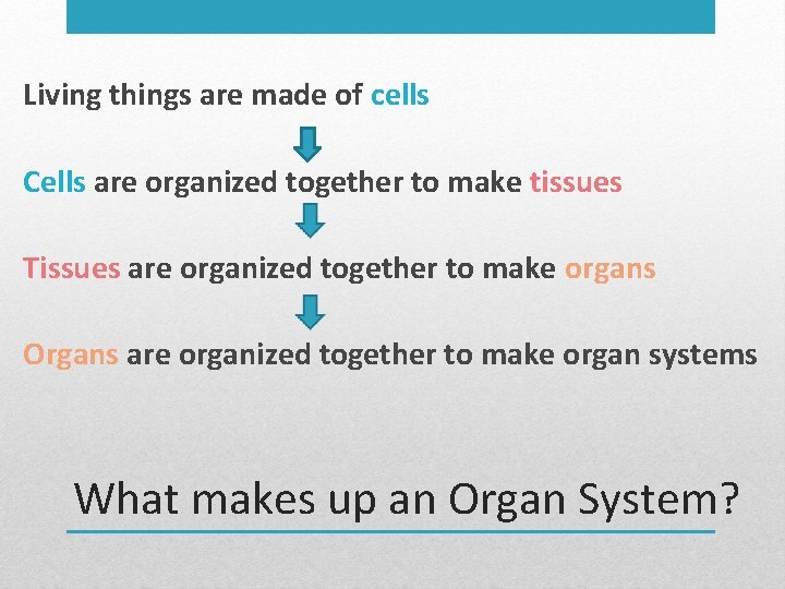Living things are made of cells Cells are organized together to make tissues Tissues