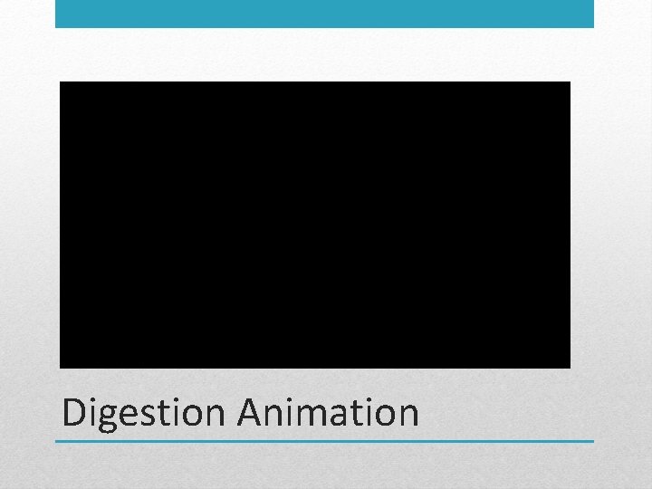 Digestion Animation 