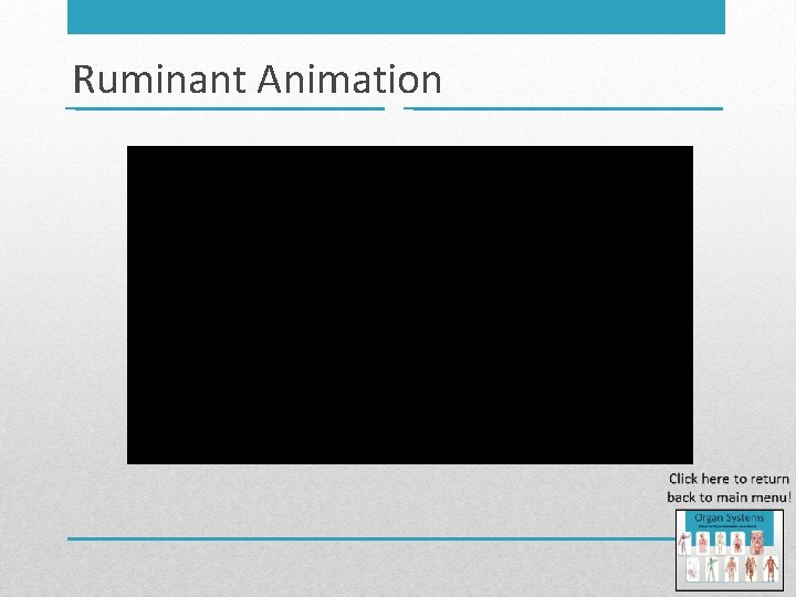 Ruminant Animation 