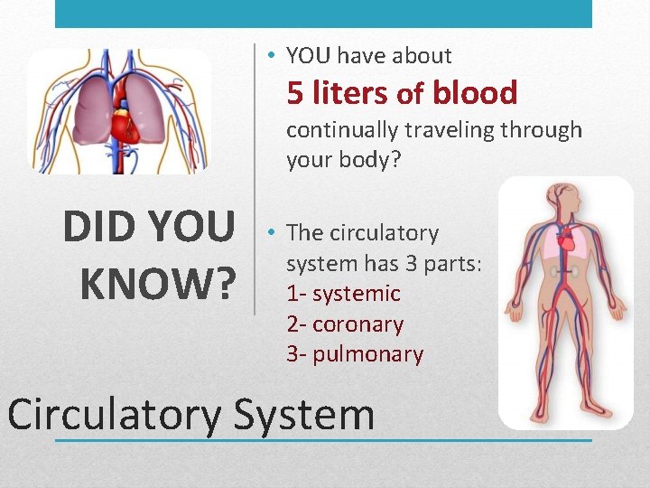  • YOU have about 5 liters of blood continually traveling through your body?