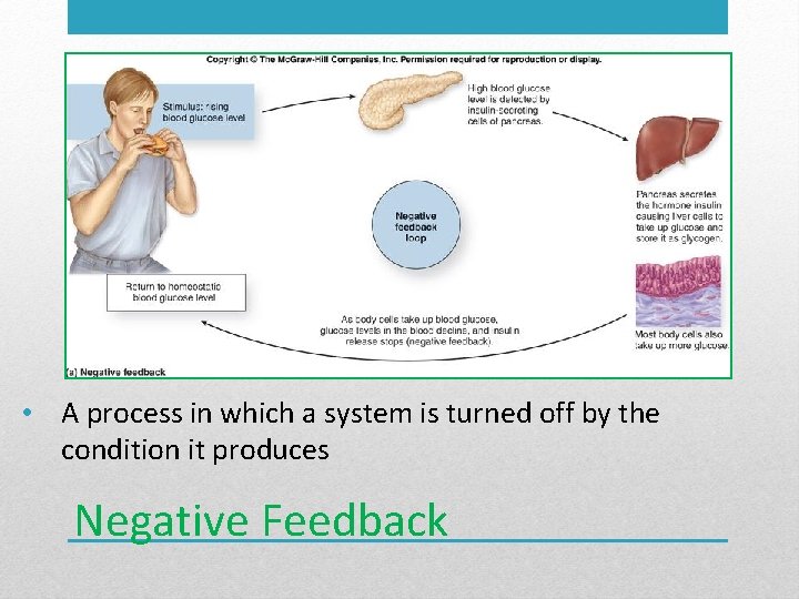  • A process in which a system is turned off by the condition