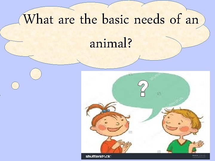 What are the basic needs of an animal? 