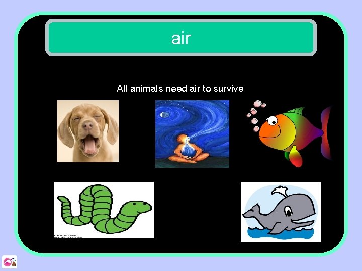 air All animals need air to survive 