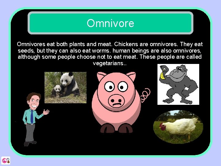 Omnivores eat both plants and meat. Chickens are omnivores. They eat seeds, but they