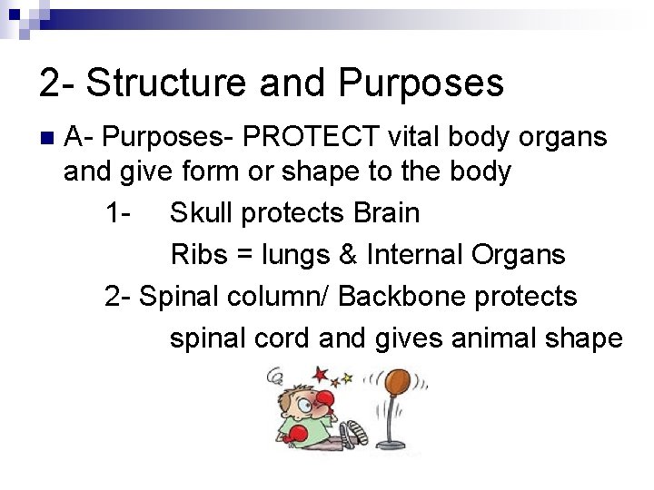 2 - Structure and Purposes n A- Purposes- PROTECT vital body organs and give